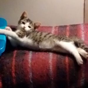 Meet your Posher, Janine